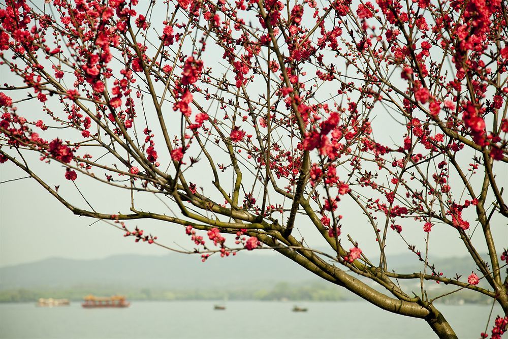 Liuying Hotel West Lake Hangzhou Bagian luar foto